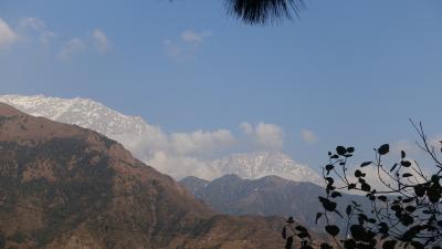 Гималаи, у северных границ Индии. Dharmsala